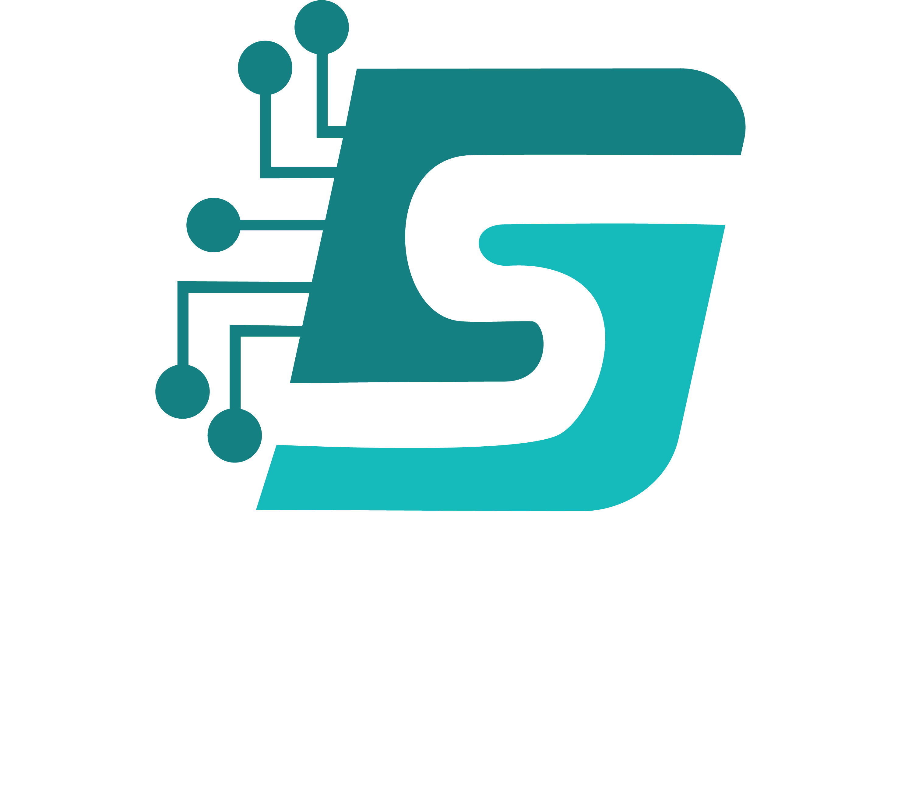 DigSolver